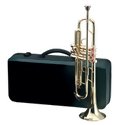 Maxam™ Brass Trumpet